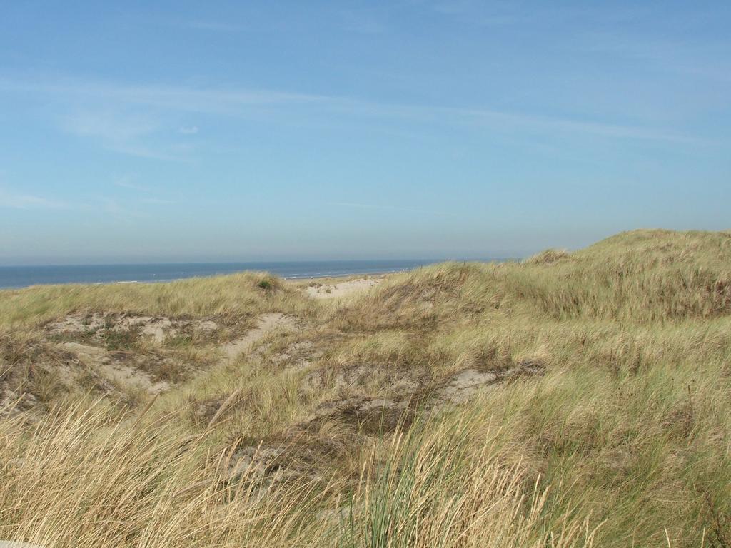 Huize De Weijde Blick Apartment Wijk aan Zee Exterior foto
