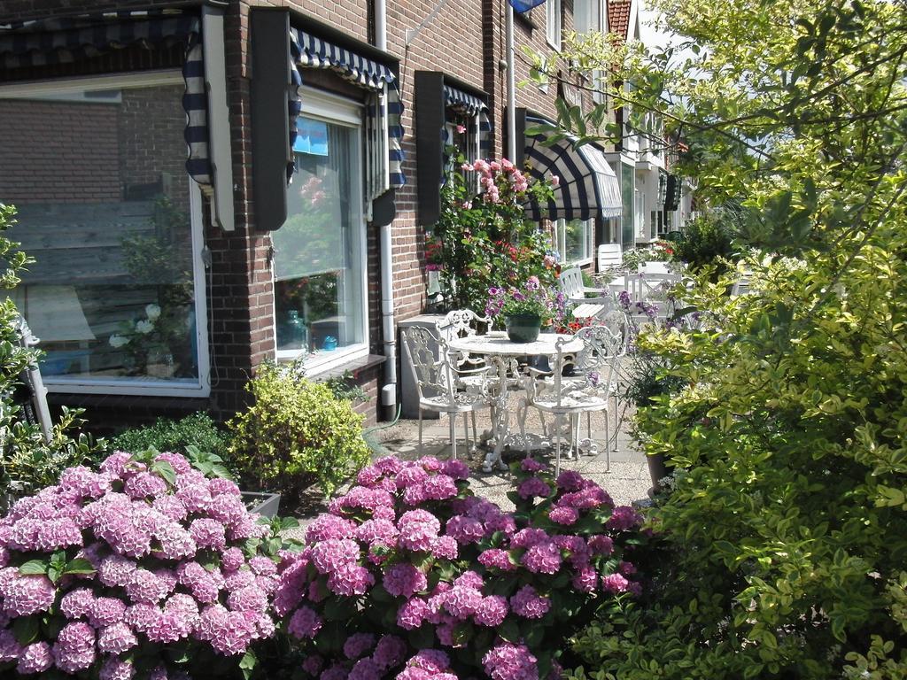 Huize De Weijde Blick Apartment Wijk aan Zee Exterior foto